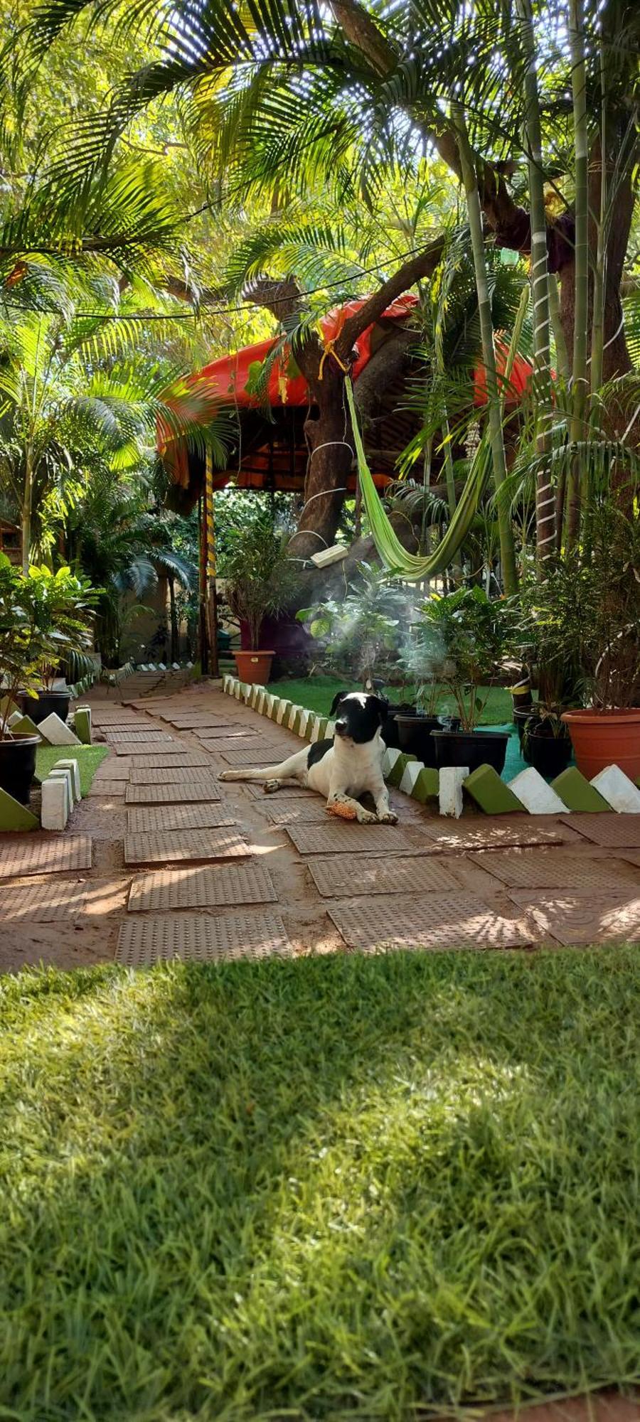 Nature Of Arambol Exterior photo